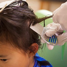 Comb out treatment for head lice - Lice Clinics Long Island