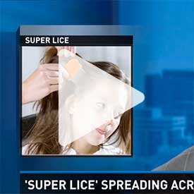 Super Lice news video