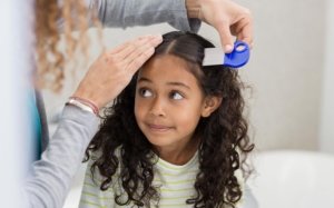 How to check for lice