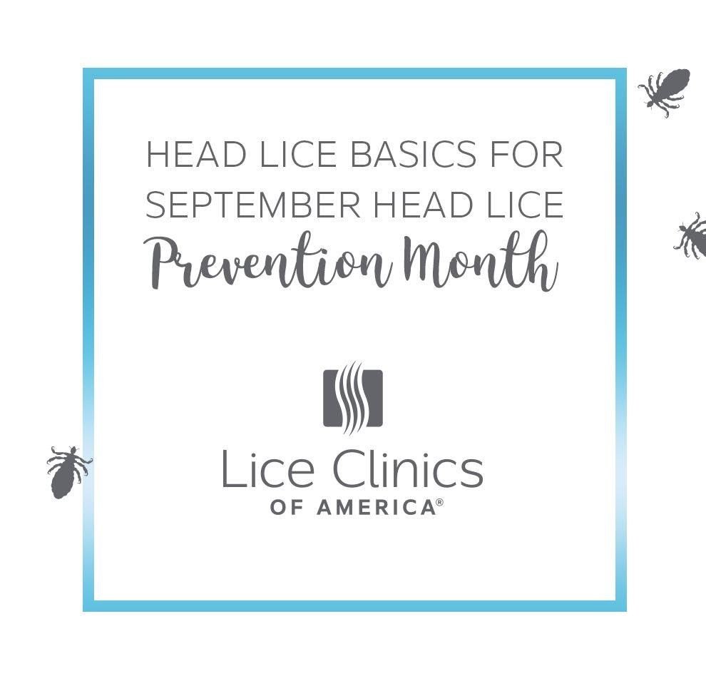 Top 8 head lice questions and answers for September head lice prevention month at Lice Clinics of America - Long Island